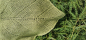 Preview: Dreiecktuch Aurelia