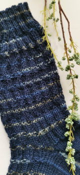 Preview: Socke Danzig