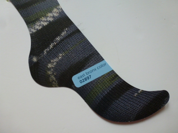 east bronx color 02897